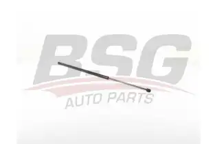 BSG 75980008 Bagaj Amortisörü
