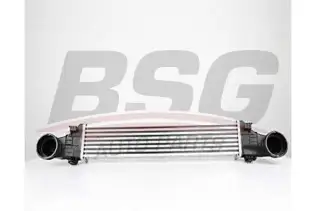 BSG 60535011 Turbo Radyatörü
