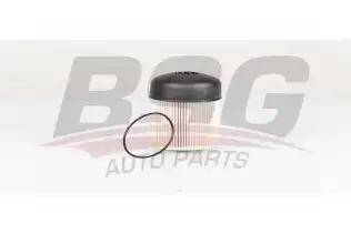BSG 75130013 Yakıt Filtresi