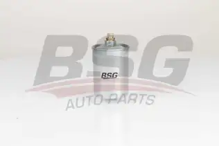 BSG 60130010 Yakıt Filtresi
