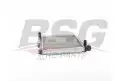 BSG 75520014 Su Radyatörü