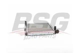 BSG 75520014 Su Radyatörü