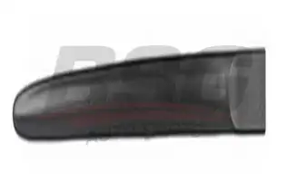BSG 65924014 Kapı Bandı Arka Sağ