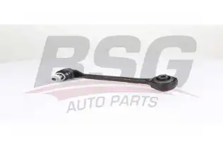 BSG 15315149 Salıncak Ön Sağ