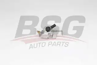 BSG 65125026 Termostat