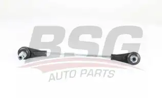 BSG 15310186 Viraj Askı Rotu Ön Sağ