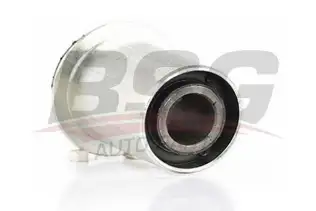 BSG 60700086 Salıncak Burcu