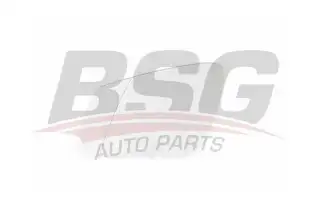 BSG 15910004 Ayna Camı Sol
