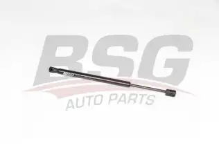BSG 75980027 Motor Kaput Amortisörü
