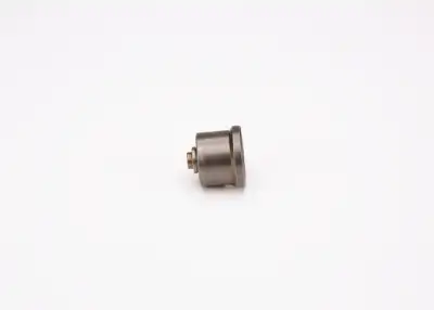 BOSCH 2418554001 Pompa Valfi - 2. Görsel