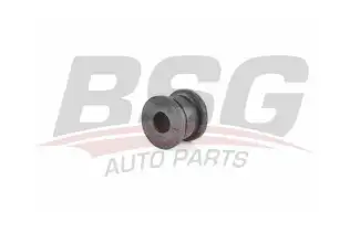 BSG 60700178 Viraj Demir Lastiği Arka