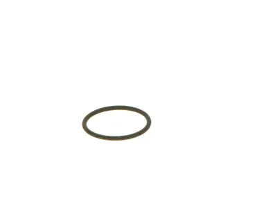BOSCH F00VC38002 O-Ring - 21. Görsel