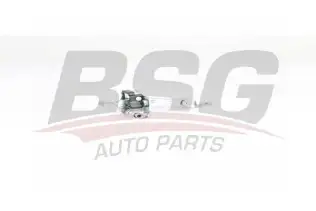 BSG 70975046 Kapı Gergisi Arka