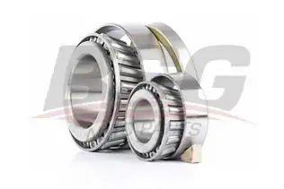 BSG 60600009 Porya Rulmanı Ön