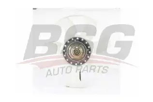 BSG 30505010 Fan Motoru