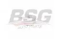 BSG 60615027 V Kayış Gergisi Komple