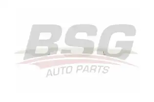 BSG 70922029 Bagaj Çıtası