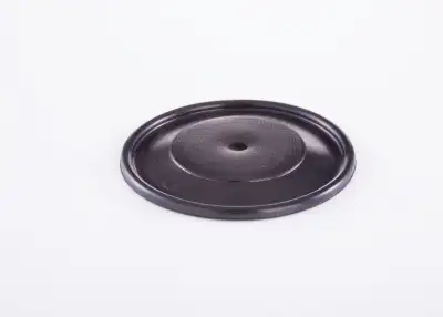 BOSCH 2420503002 Diyafram - 17. Görsel