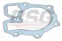 BSG 30116019 Devirdaim Contası