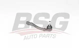 BSG 75310026 Rot Başı Sağ