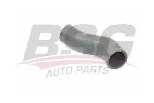 BSG 25720047 Turbo Hortumu