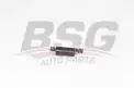 BSG 60109016 Eksantrik Zincir Gergisi