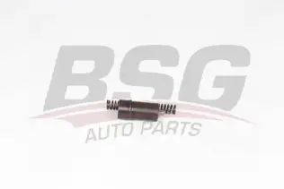 BSG 60109016 Eksantrik Zincir Gergisi