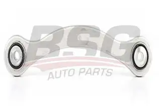 BSG 60310059 Rotilli Kol Arka Eğri Sol