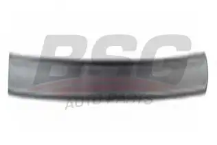 BSG 65924017 Kapı Bandı Ön Sağ