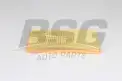 BSG 25135015 Hava Filtresi
