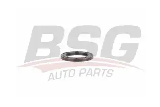 BSG 30116145 Şanzıman Keçesi