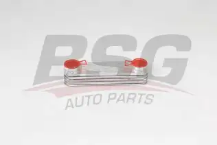 BSG 15506036 Yağ Soğutucusu