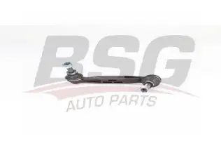 BSG 15310190 Viraj Askı Rotu Arka Sol