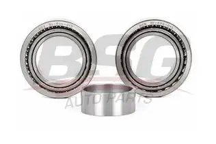 BSG 30600013 Porya Rulmanı Arka