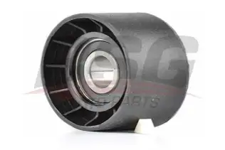 BSG 70615024 V Kayış Gergi Rulmanı
