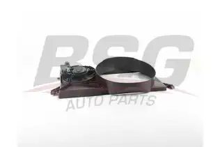 BSG 30510012 Fan Motoru