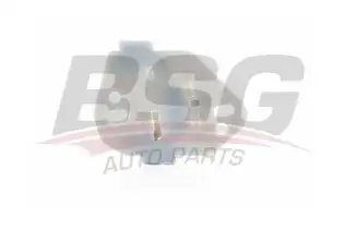 BSG 30966011 Cam Kriko Plastiği