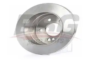 BSG 60210029 Fren Diski Arka