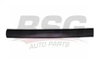 BSG 65924026 Kapı Bandı Ön Sol
