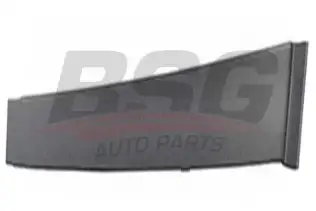 BSG 30925005 Kapı Direk Çıtası Ön Sağ