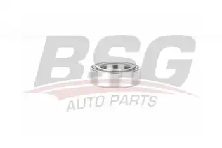 BSG 15605035 Teker Rulmanı Arka