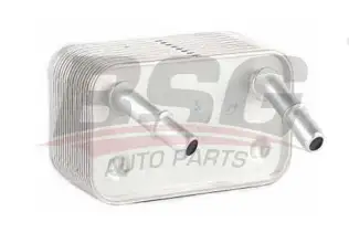 BSG 15506009 Yağ Soğutucusu