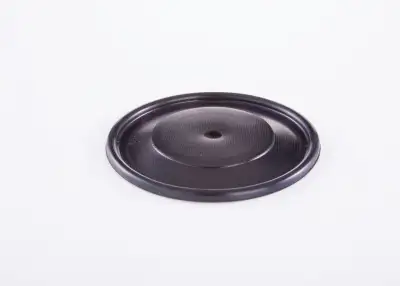 BOSCH 2420503002 Diyafram - 20. Görsel