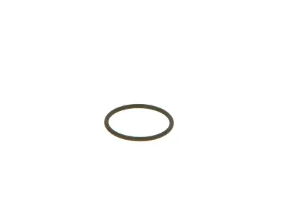 BOSCH F00VC38002 O-Ring - 11. Görsel