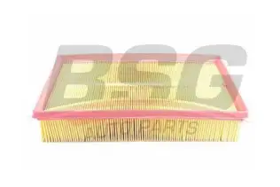 BSG 90135010 Hava Filtresi