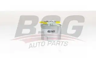 BSG 75130007 Yakıt Filtresi