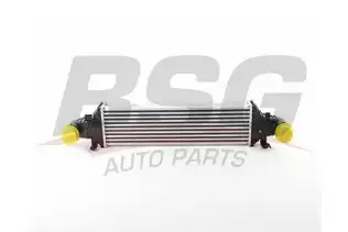 BSG 60535024 Turbo Radyatörü