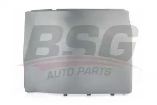 BSG 90920005 Arka Tampon Kösesı Sol