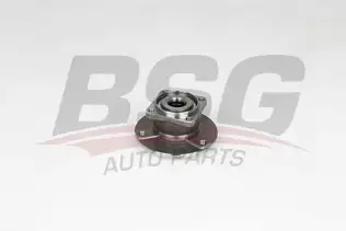 BSG 60600021 Porya Arka