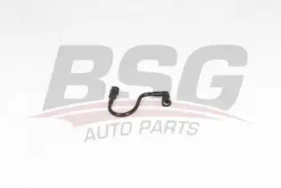 BSG 70725025 Yakıt Borusu